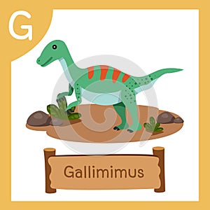 Illustrator of G for Dinosaur gallimimus