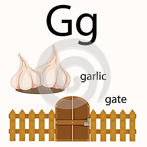 Illustrator of g vocabulary