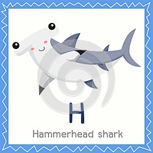 Illustrator of H for hammerhead shark animal