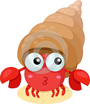 Illustrator of hermit crab