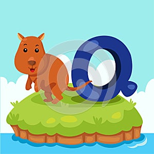 Illustrator of Letter'Q is for Quokka'