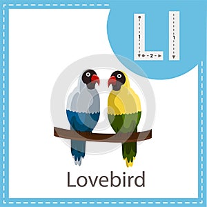 Illustrator of Lovebird education and kid