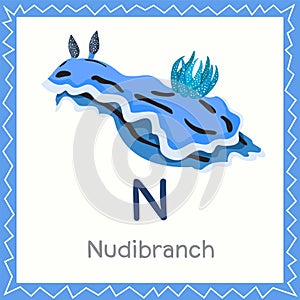 Illustrator of N for Nudibranch animal