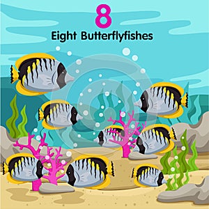 Illustrator of number with eight butterflyfishes photo