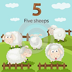 Illustrator of number five sheeps