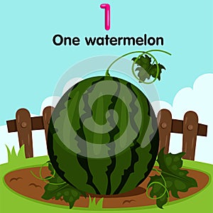 Illustrator of number one watermelon