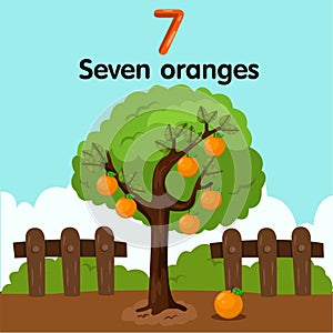 Illustrator of number seven oranges