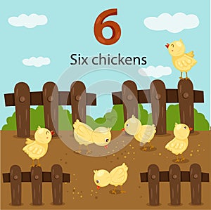 Illustrator of number six chickens