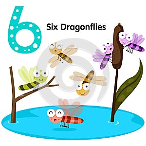 Illustrator of number six dragonfly