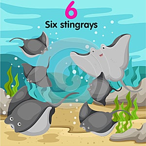 Illustrator of number with six stingrays