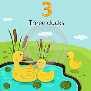 Illustrator of number three with ducks