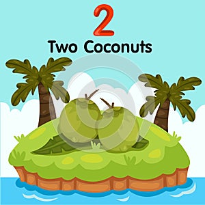 Illustrator of number two coconuts