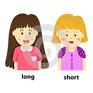 Illustrator of opposite long and short