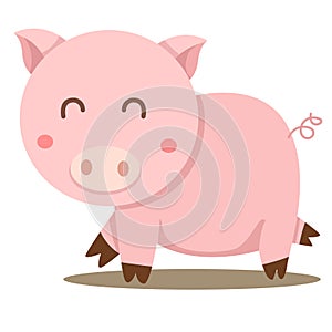Illustrator of pig cute