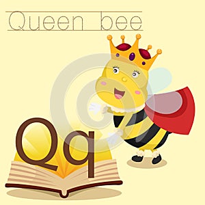 Illustrator of Q for Queen bee vocabulary