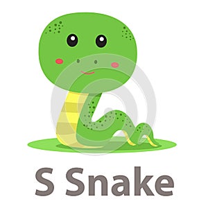 Illustrator of s snake animal