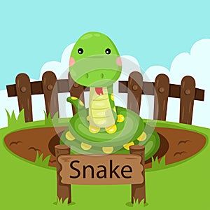 Illustrator of snake in the zoo