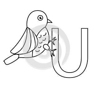 Illustrator of u uguisu