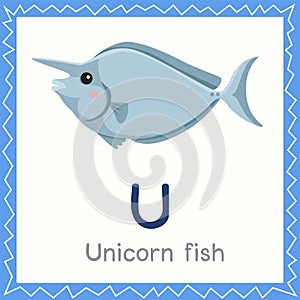 Illustrator of U for Unicorn fish animal
