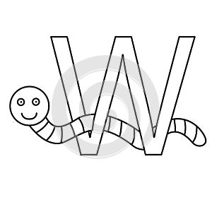 Illustrator of w worm