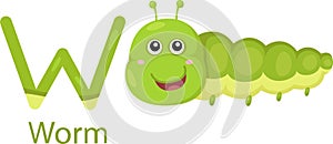 Illustrator of W with worm