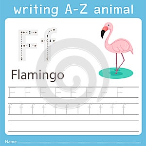 Illustrator of writing a-z animal f flamingo