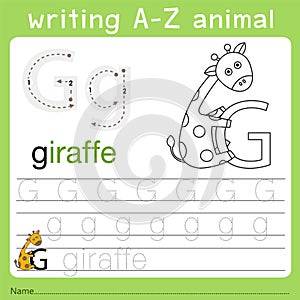 Illustrator of writing a-z animal g photo