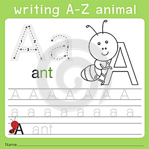 Illustrator of writing a-z animal a photo