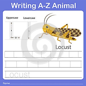 Illustrator of writing a - z animal L Locust