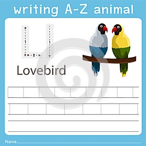 Illustrator of writing a-z animal l lovebird