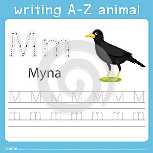 Illustrator of writing a-z animal m myna