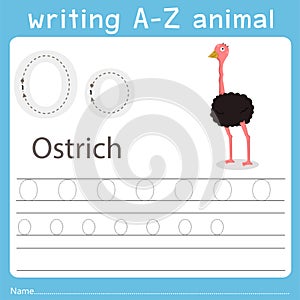 Illustrator of writing a-z animal o ostrich