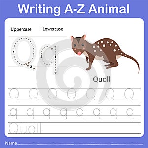 Illustrator of writing a - z animal q quoll