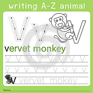 Illustrator of writing a-z animal v photo
