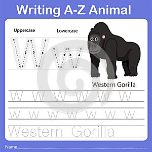 Illustrator of writing a - z animal w western gorilla