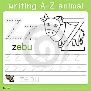 Illustrator of writing a-z animal z photo