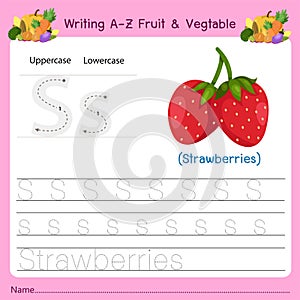 Illustrator of writing a-z Fruit & Vegtable S
