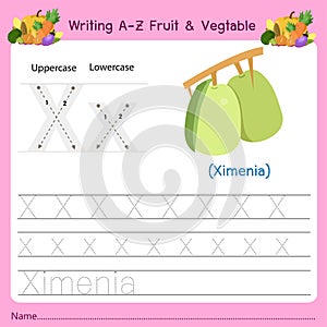 Illustrator of writing a-z Fruit & Vegtable X