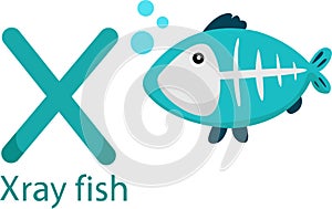Illustrator of X with x-ray fish