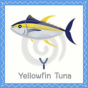 Illustrator of Y for Yellowfin Tuna animal