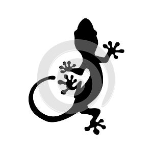 Illustrazione di un geco