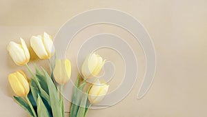 Illutration of yellow spring tulip flowers on paper background top view in flat lay style. Greeting card for Womens, Mothers Day,