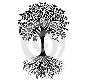 Illutrator of an tree