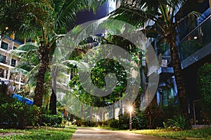 Iluminated palm trees and walkway between buildings at night