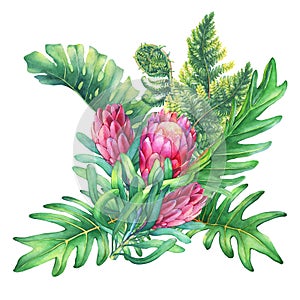 Ilustration of a bouquet with pink Protea flowers and tropical plants.
