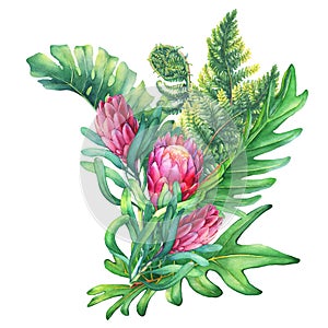 Ilustration of a bouquet with pink Protea flowers and tropical plants.