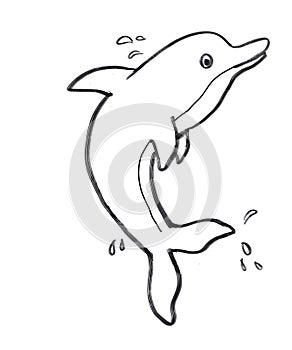 ilustration of  dolphin coloring for children