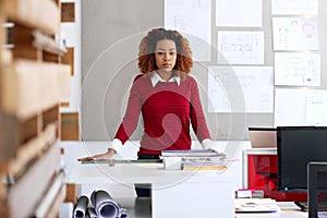 Im definitely in the right career. Portrait of a young woman standing in an office.