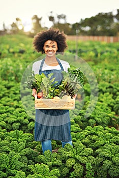Im just living off the land. Cropped portrait of an attractive young female farmer carrying a crate of fresh produce.