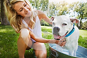 Im just thinking of the treats Ill get afterwards. a woman bathing her pet dog outside on a summers day.